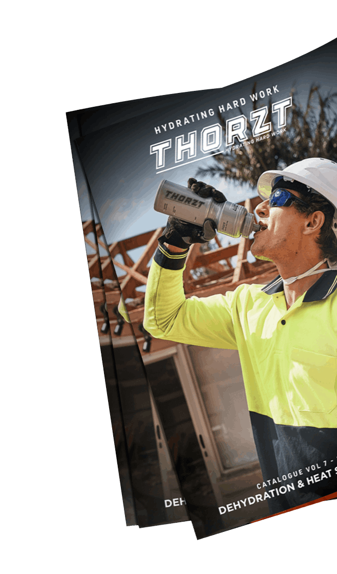 THORZT CATALOGUE
